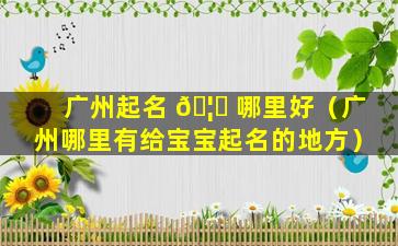 广州起名 🦟 哪里好（广州哪里有给宝宝起名的地方）